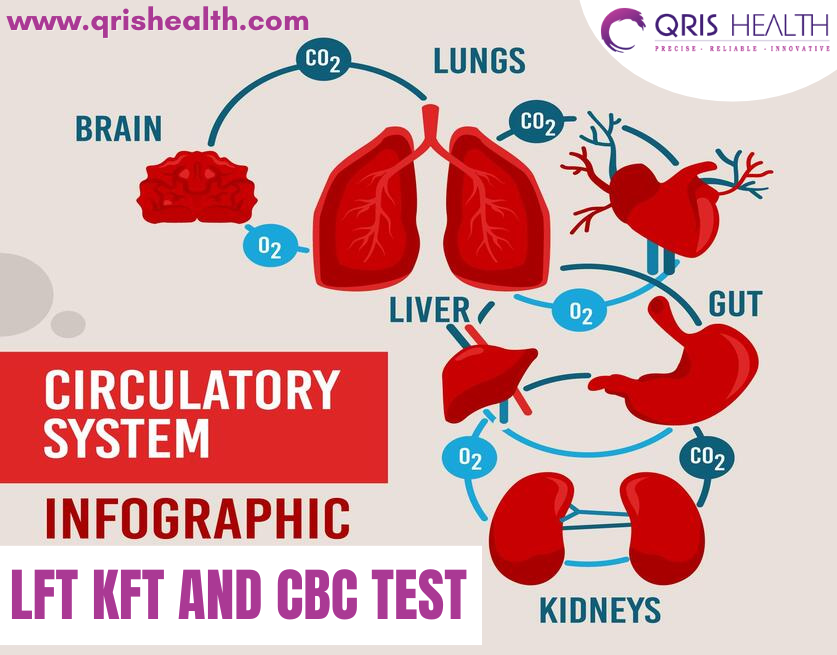 lft, kft and cbc tests in delhi